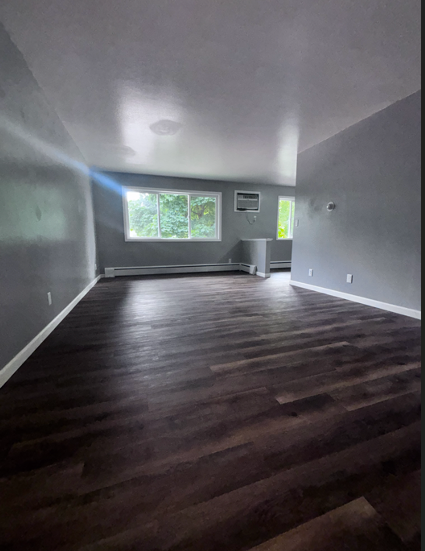 Appleton Apartment: 319 E Harris St