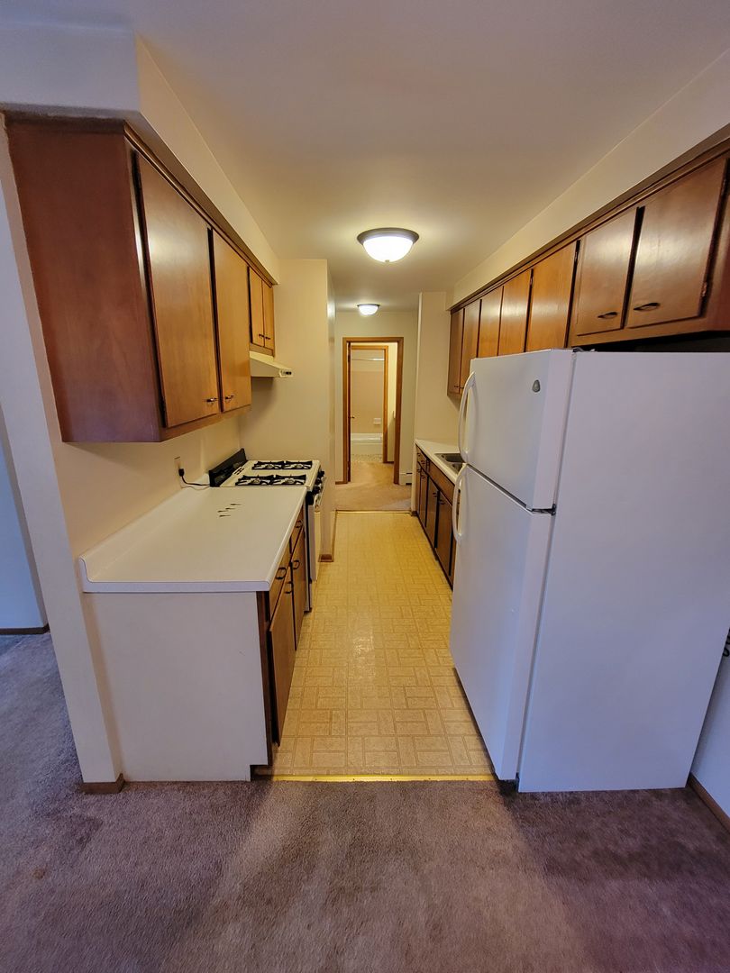 Appleton Apartment: 1005 S East St