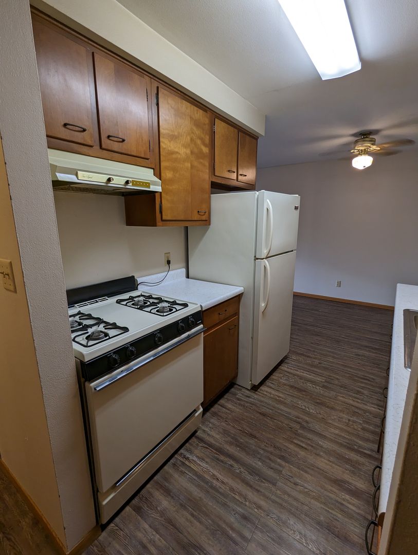 Appleton Apartment: 1005 S East St