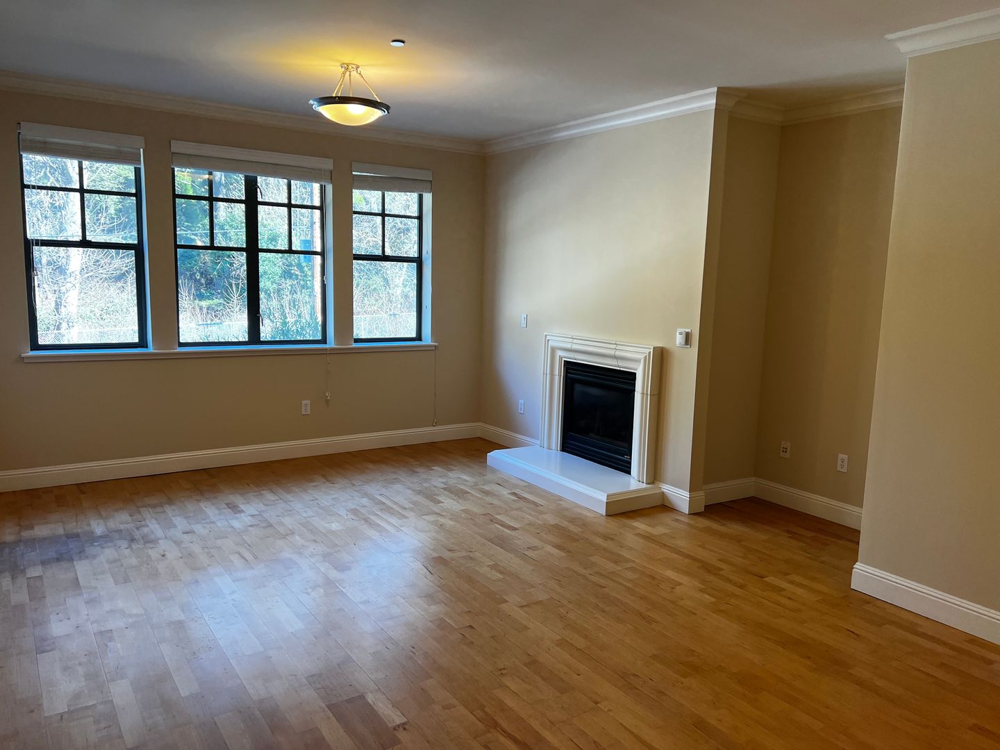 San Francisco Apartment: 300 Laguna Honda Blvd