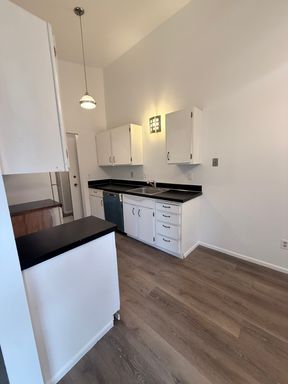 One Bed One Bath with High Ceilings – photo 1