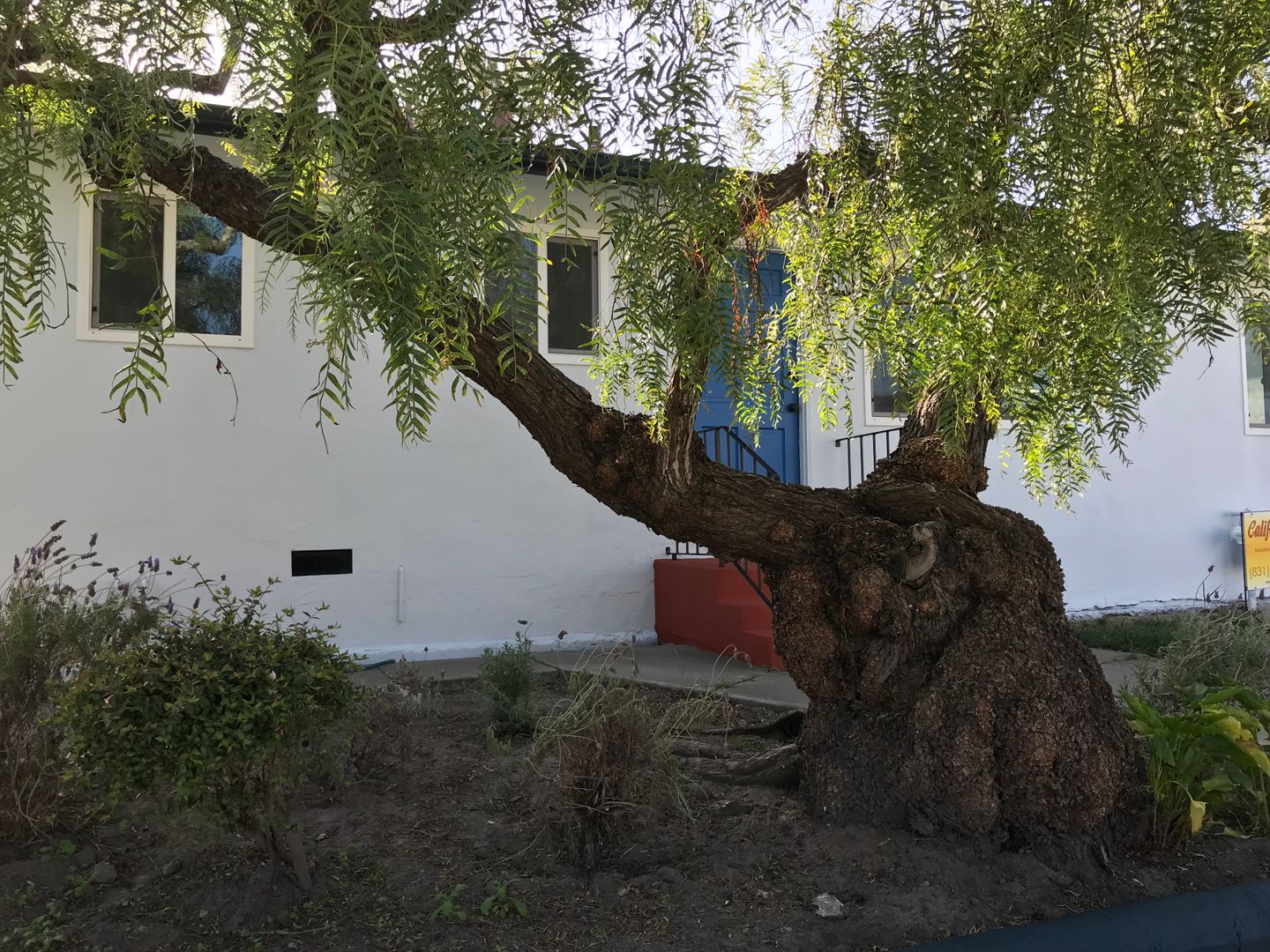 Monterey Apartment: 292-300