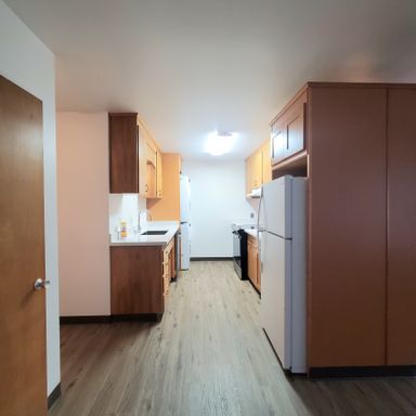 Auburn freshly Updated 2 bdrm, 1 bath with W&D in unit, $1645 & $500 BONUS – photo 1