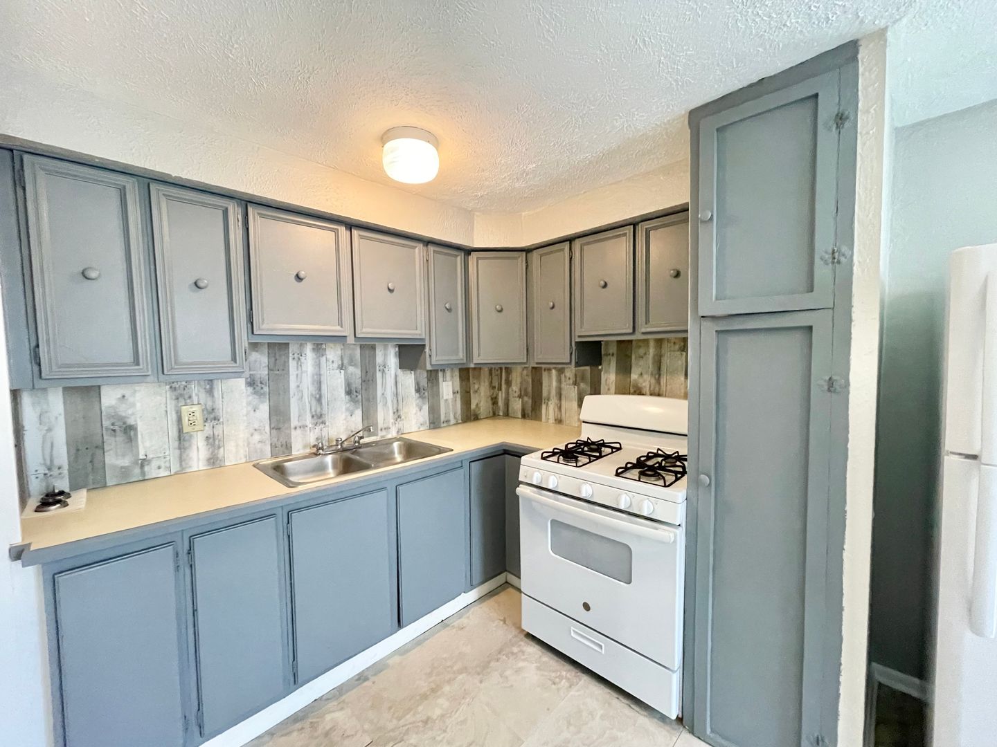 Elyria Apartment: 229 Gates Ave