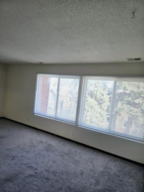 Studio in Blackstone - 1 month FREE RENT – photo 1