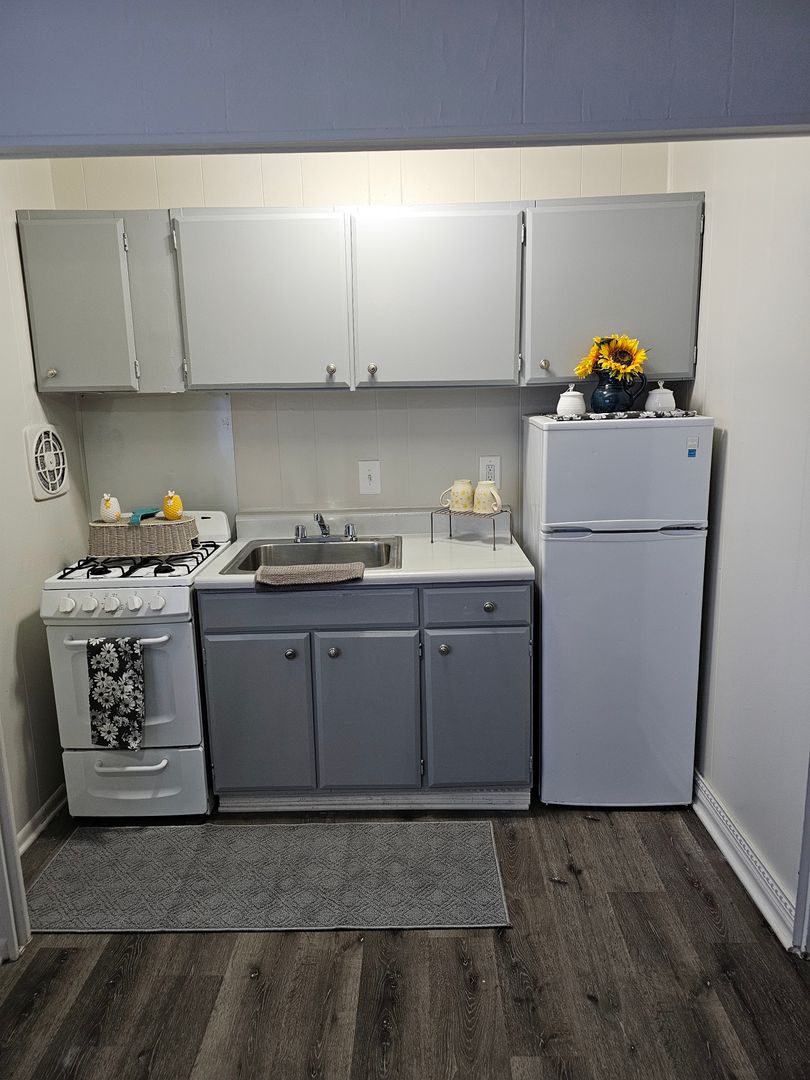 Baltimore Apartment: 219 Atholgate Lane