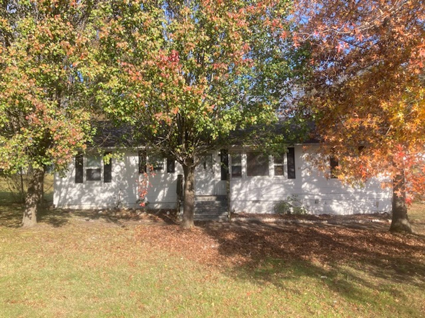 Woodbury House: 205 Dillon St