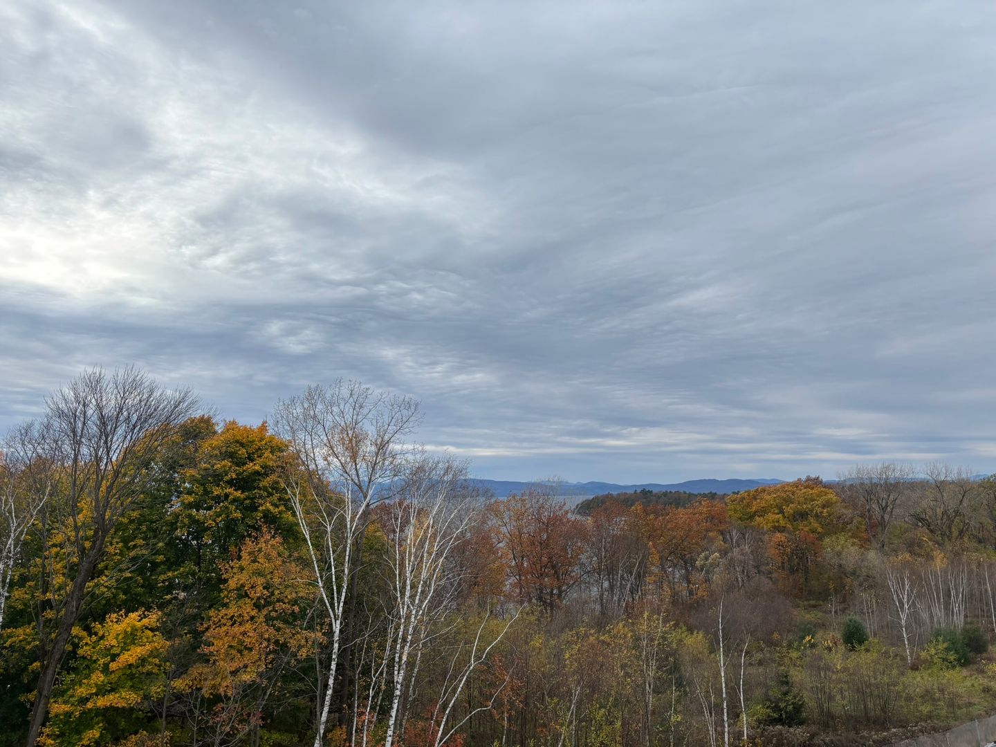 Burlington Apartment: 125 Cambrian Way