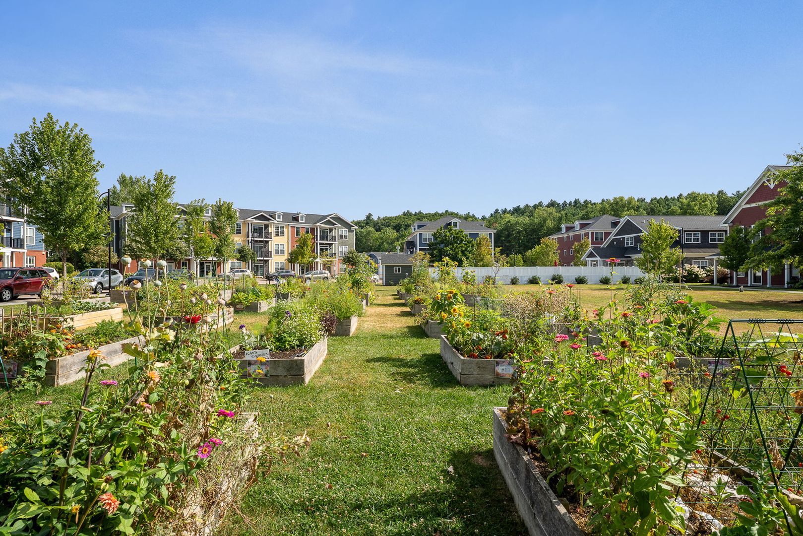 Burlington Apartment: 181 Winterberry Lane