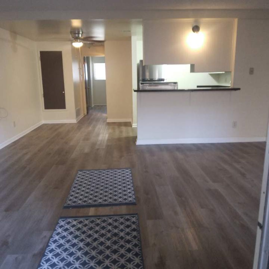 El cajon Apartment: 584 Chambers St