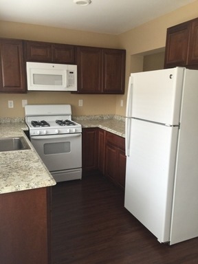 NEW 1 BEDROOM/ 1 BATHROOM APARTMENT IN THE COLLEGE AREA – photo 1