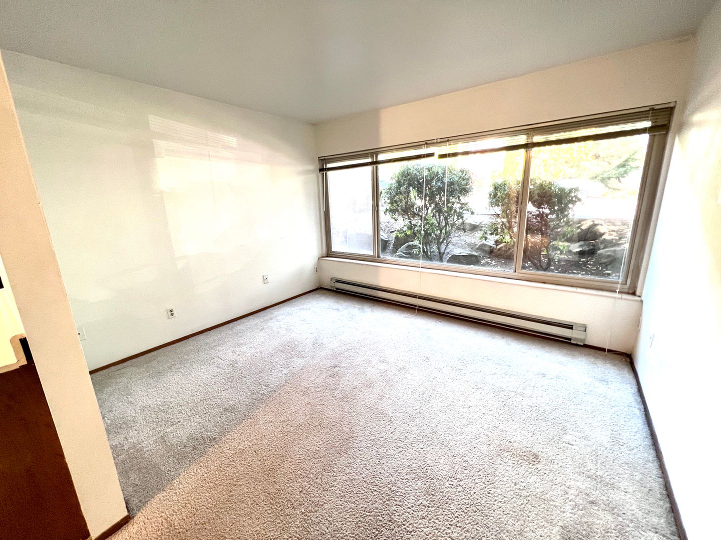 Seattle Apartment: 4115 Brooklyn Avenue Northeast