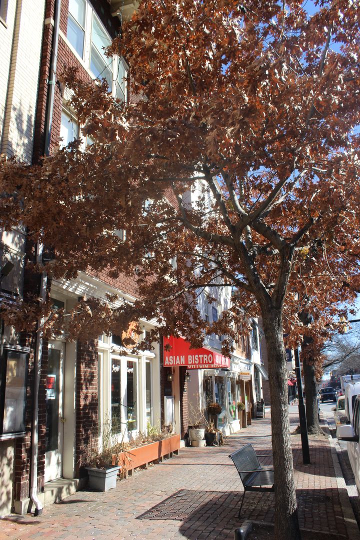 Alexandria Apartment: 809-809 1/2 King St & 103 1/2 N. Alfred Street