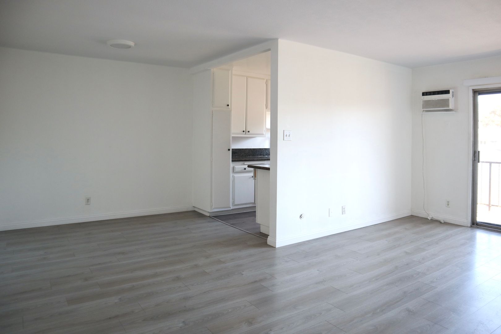 Los Angeles Apartment: 321 S Harvard Blvd.