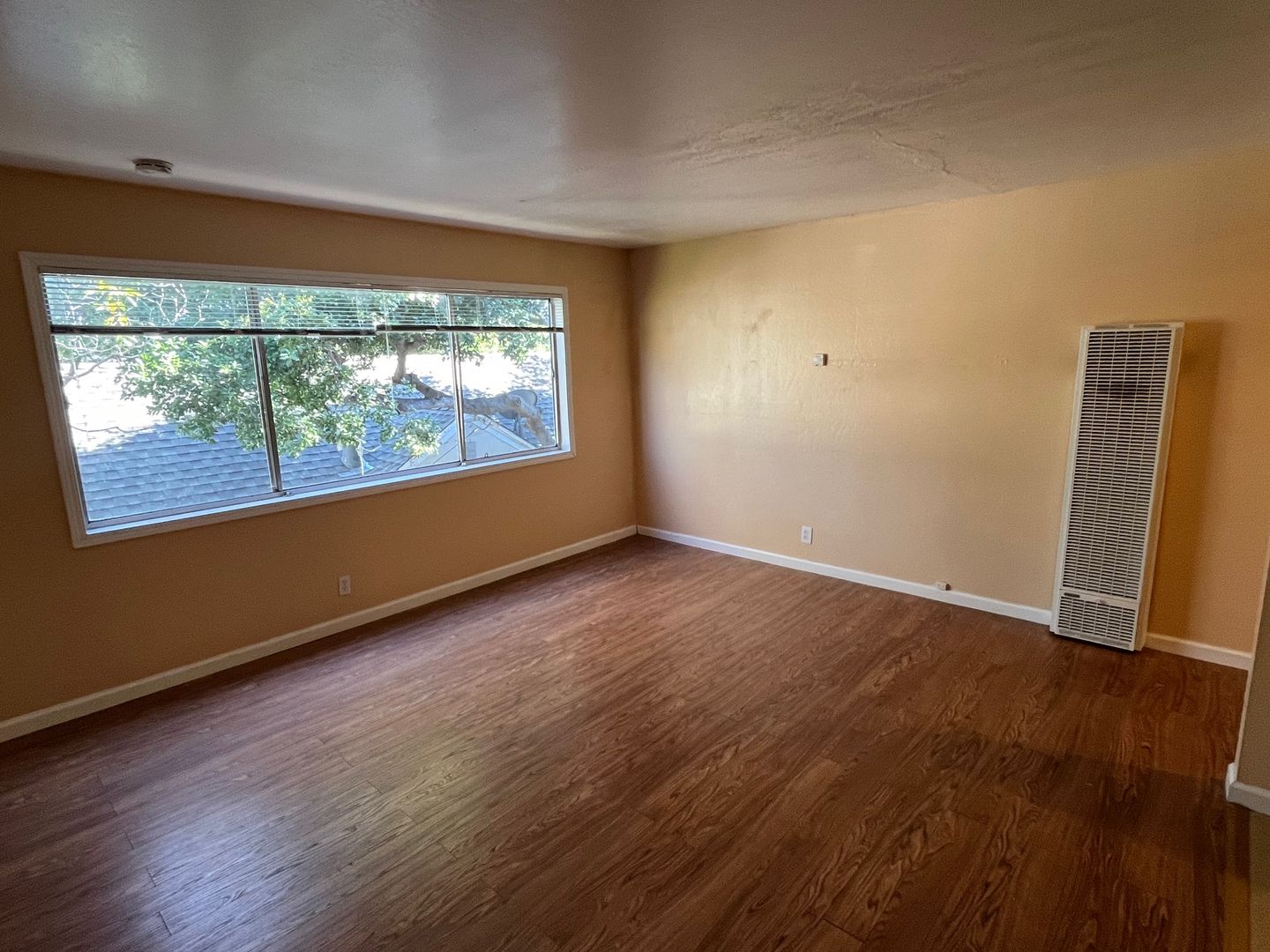 Albany Apartment: 411 Stannage Ave.