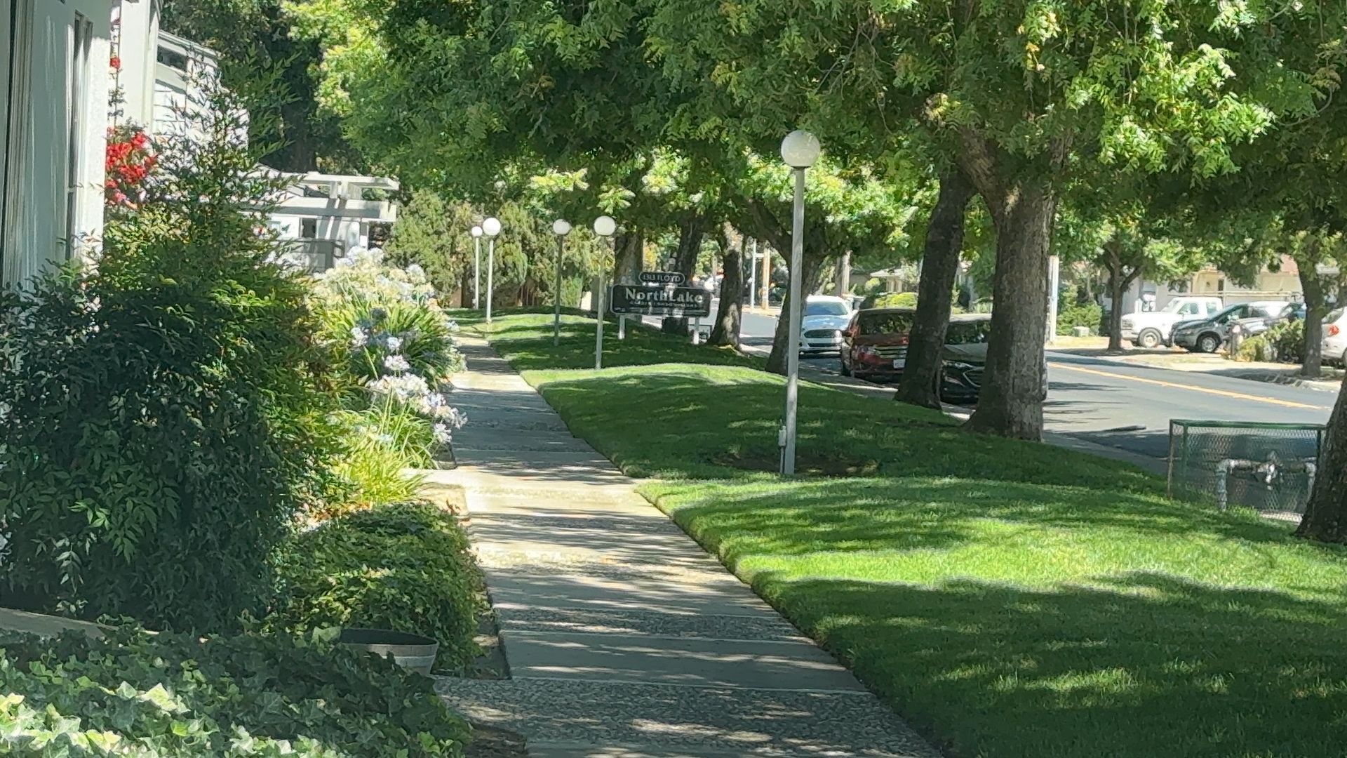 Modesto Condo: 1313 Floyd Ave #163