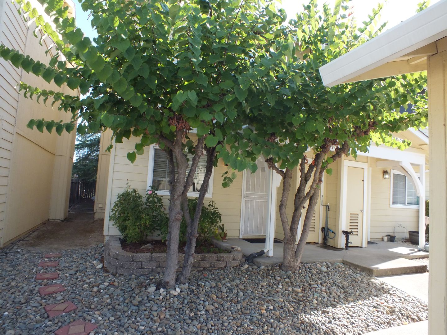 Diamond Springs House: 572 Diamond Meadows Loop