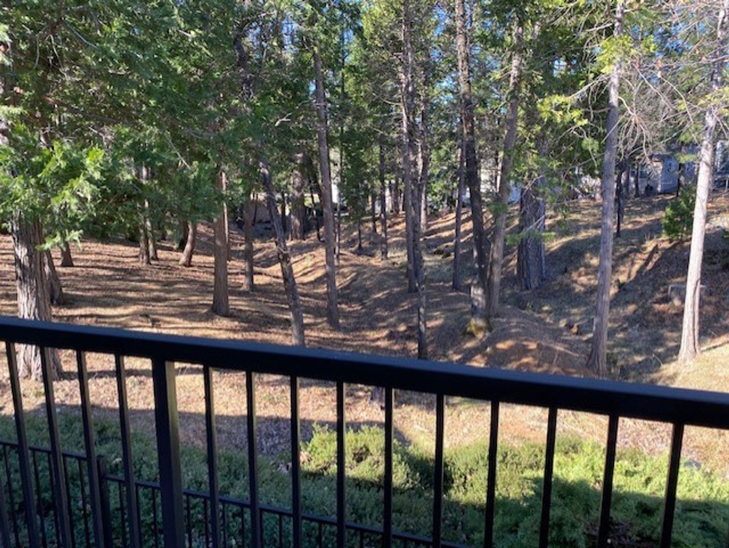 Grass Valley House: 553 Eskaton Cir