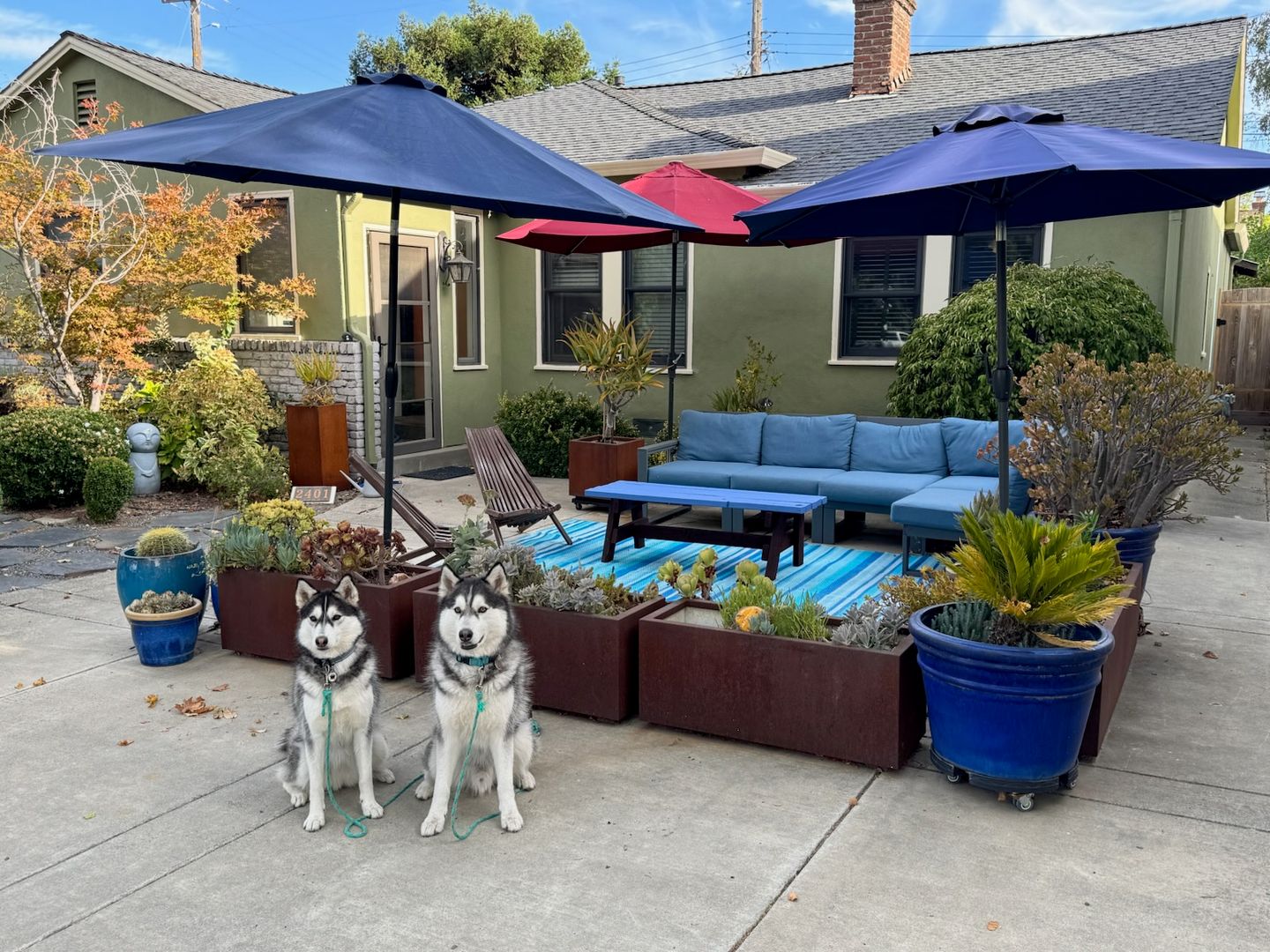 Sacramento House: 2401 Coleman Way