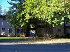 Live Oak Apartment: 2663 Elm Street