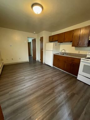 1 Bedroom Apartment (1 Bed/1 Bath)