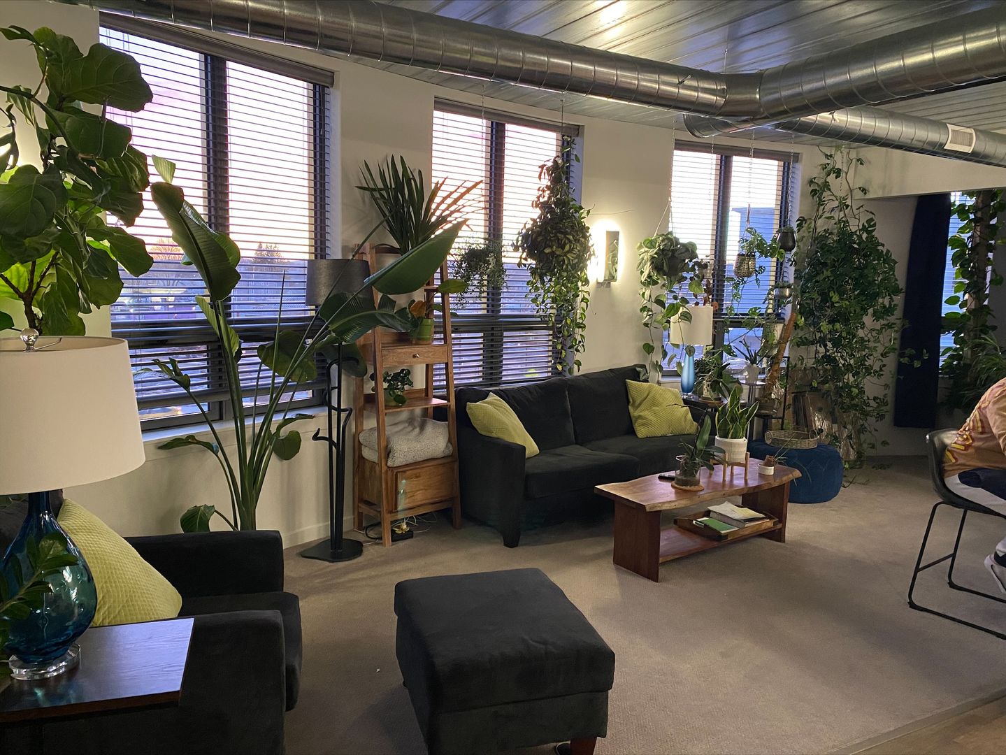 Worcester Apartment: 150 Green Street