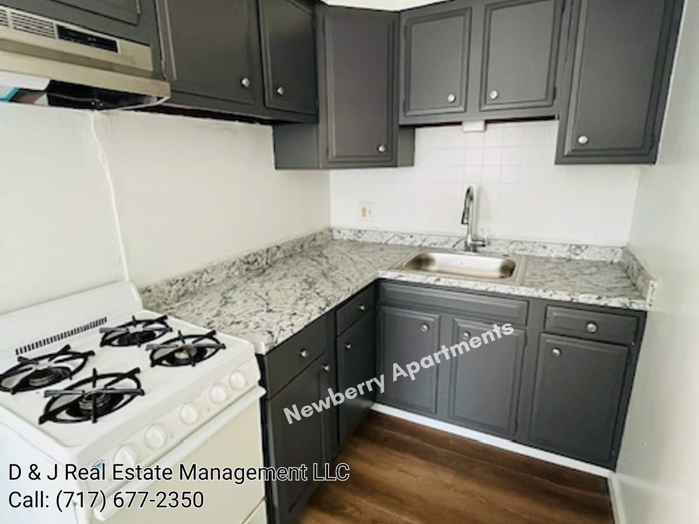 York Apartment: 403 N Newberry St