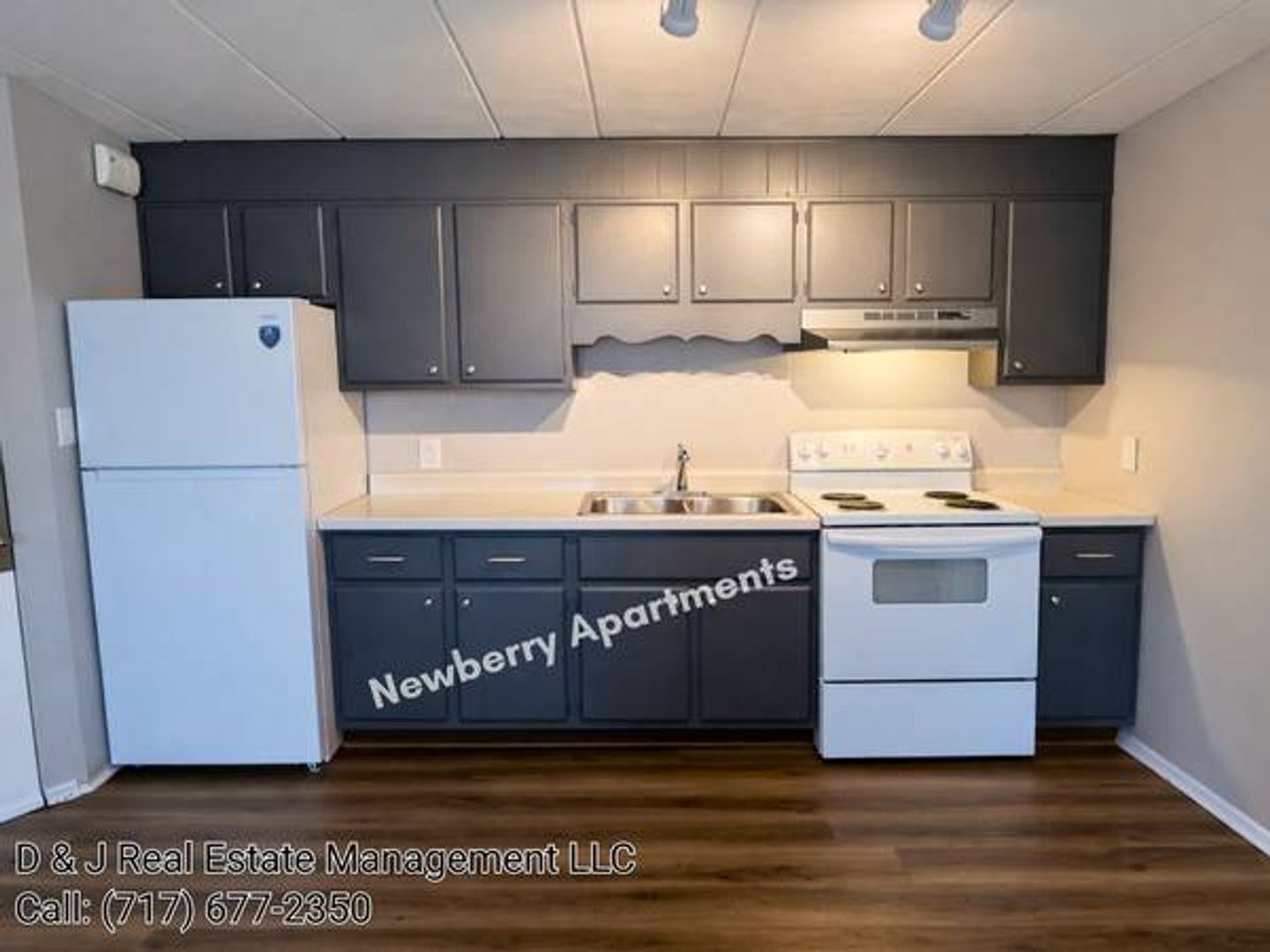 York Apartment: 403 N Newberry St