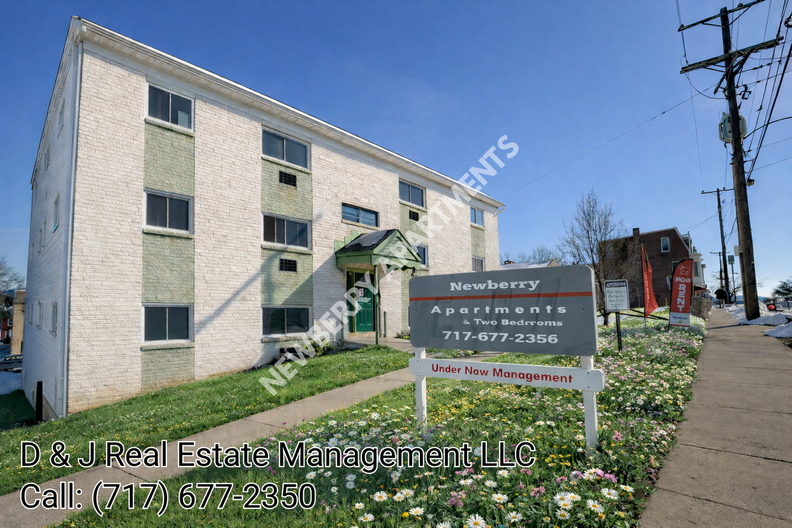 York Apartment: 403 N Newberry St