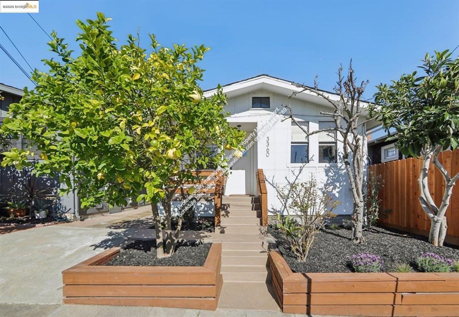 Oakland House: 3360 Arizona St