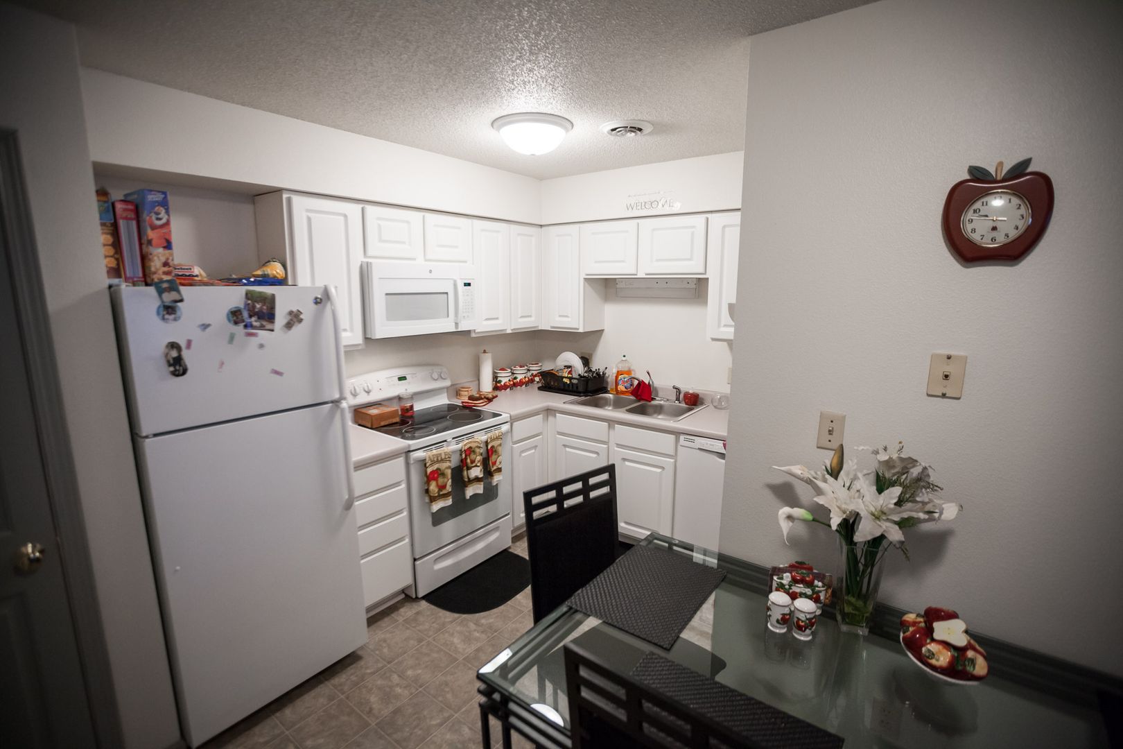 Iowa City Apartment: 815 Cross Park