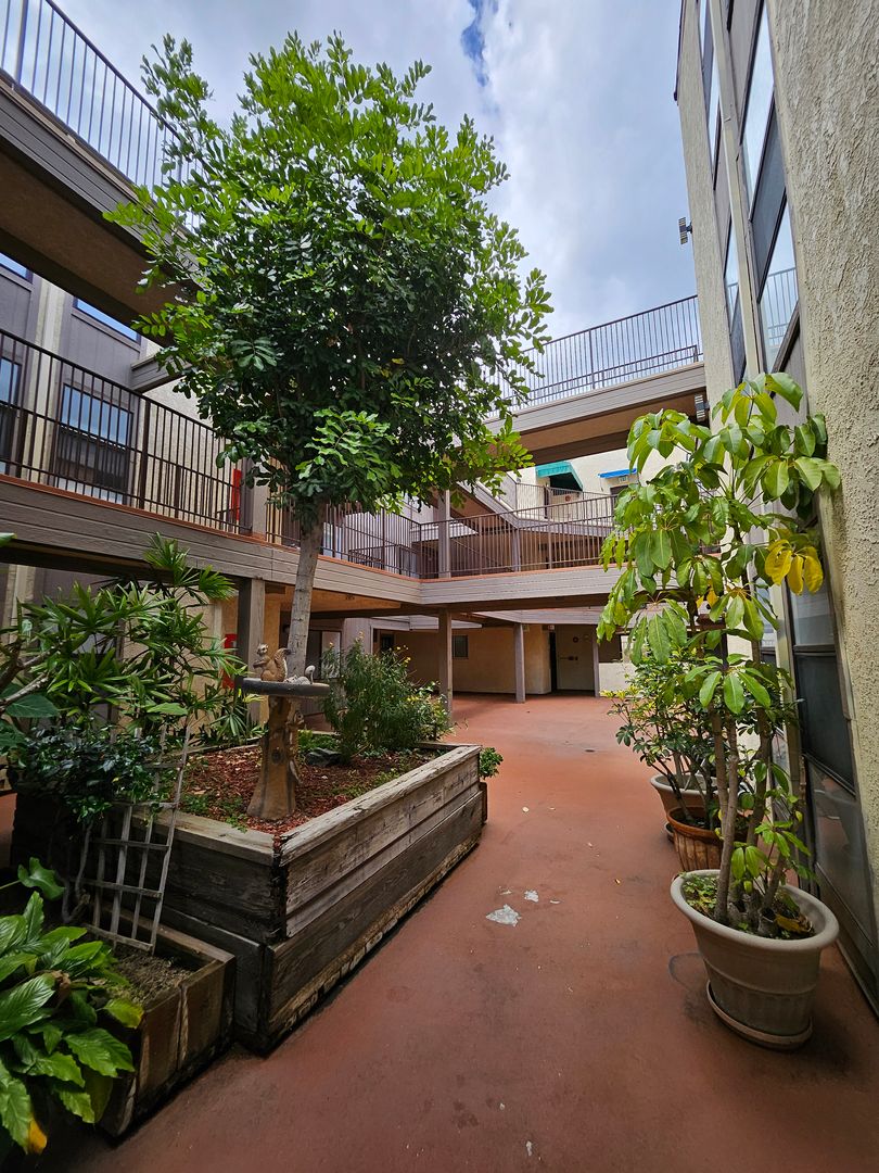 Glendale Apartment: 453 Ivy St