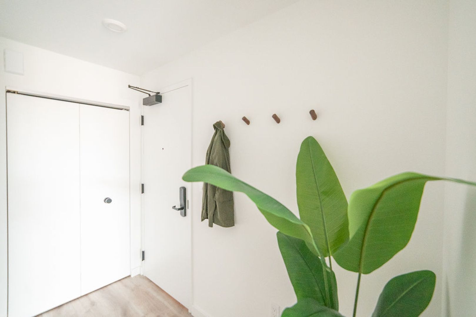 Berkeley Apartment: 2025 Kala Bagai Way