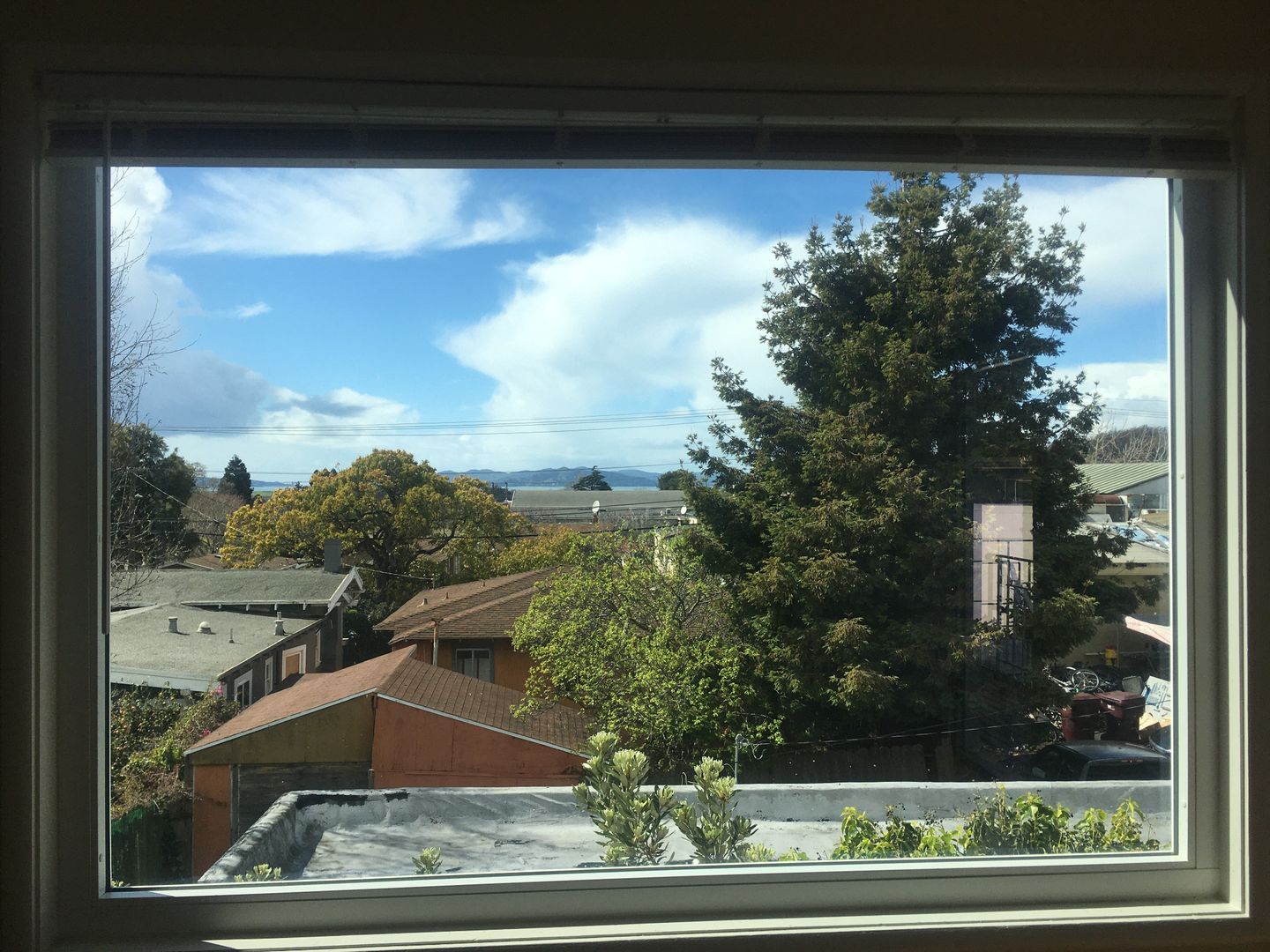 Albany Apartment: 906 Ordway Street