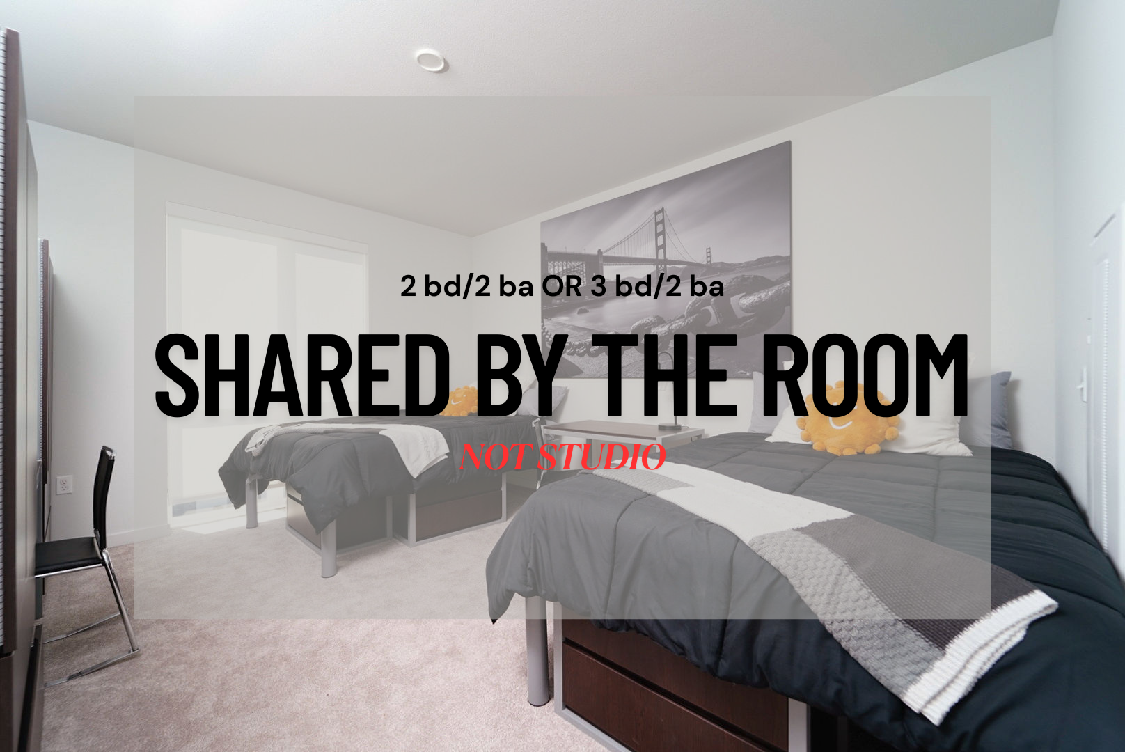 Berkeley Apartment: 2077 Haste St