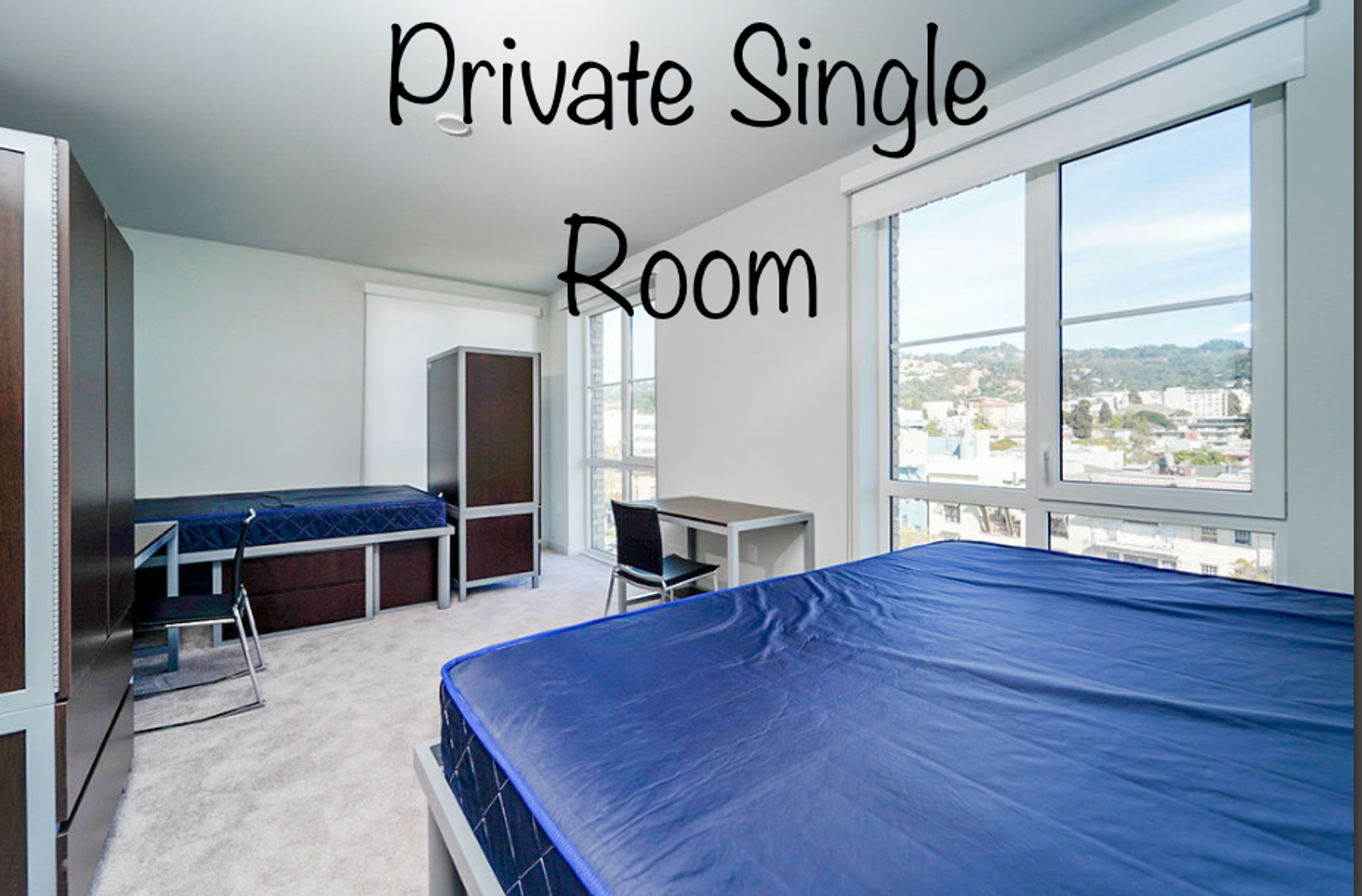 Berkeley Apartment: 2077 Haste St