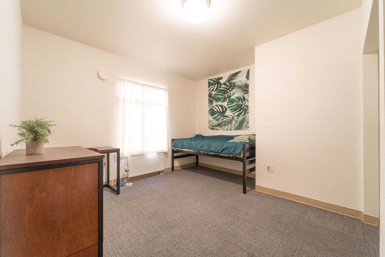 Berkeley Apartment: 2398 Bancroft Way