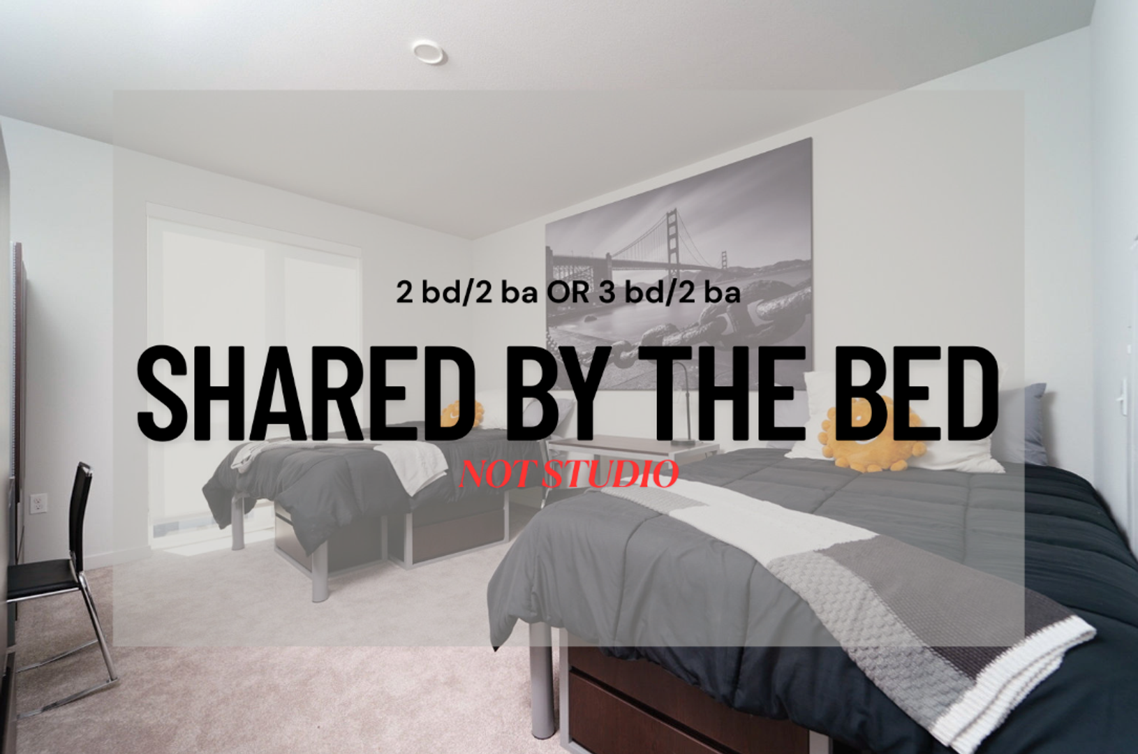 Berkeley Apartment: 2077 Haste St