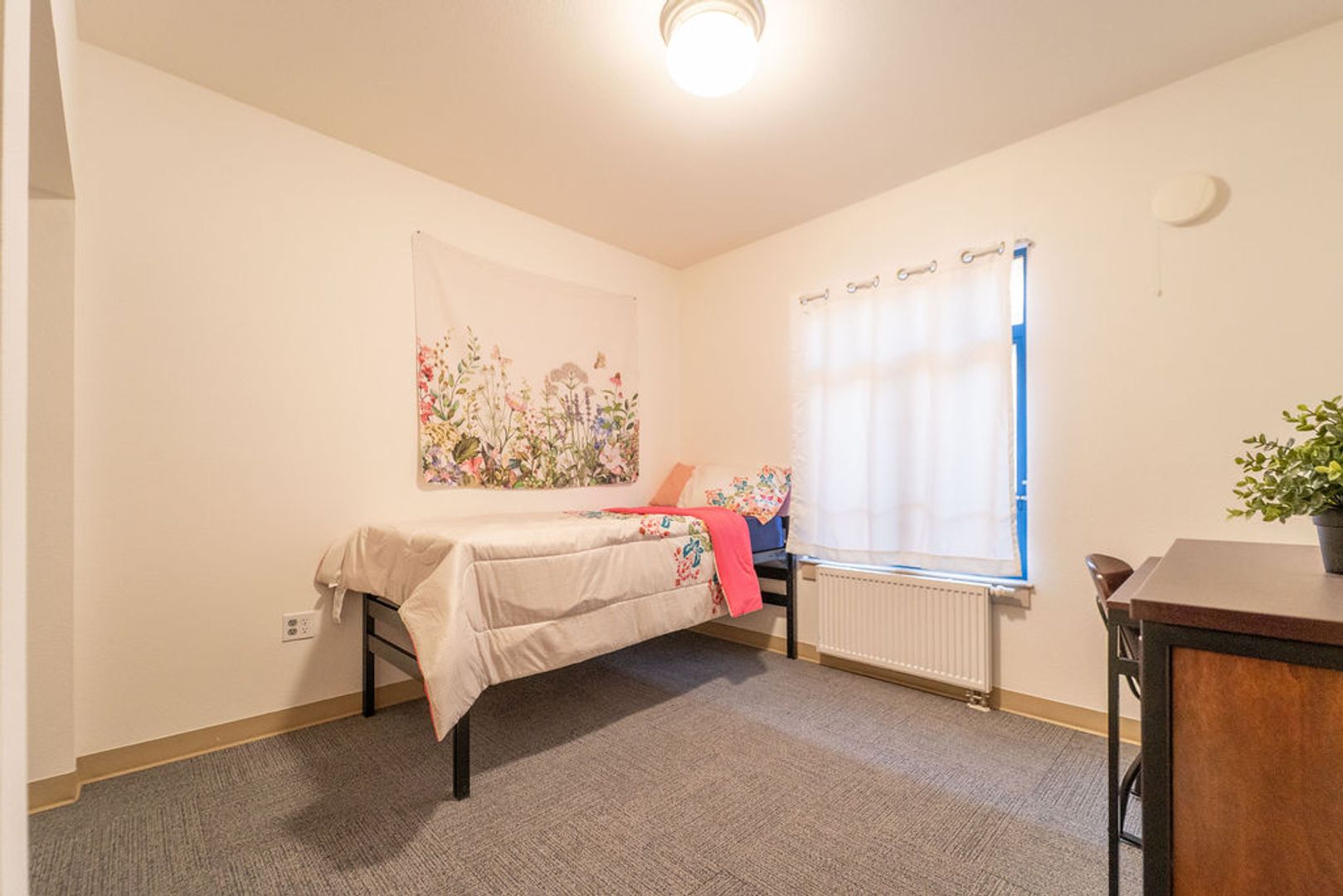 Berkeley Apartment: 2398 Bancroft Way
