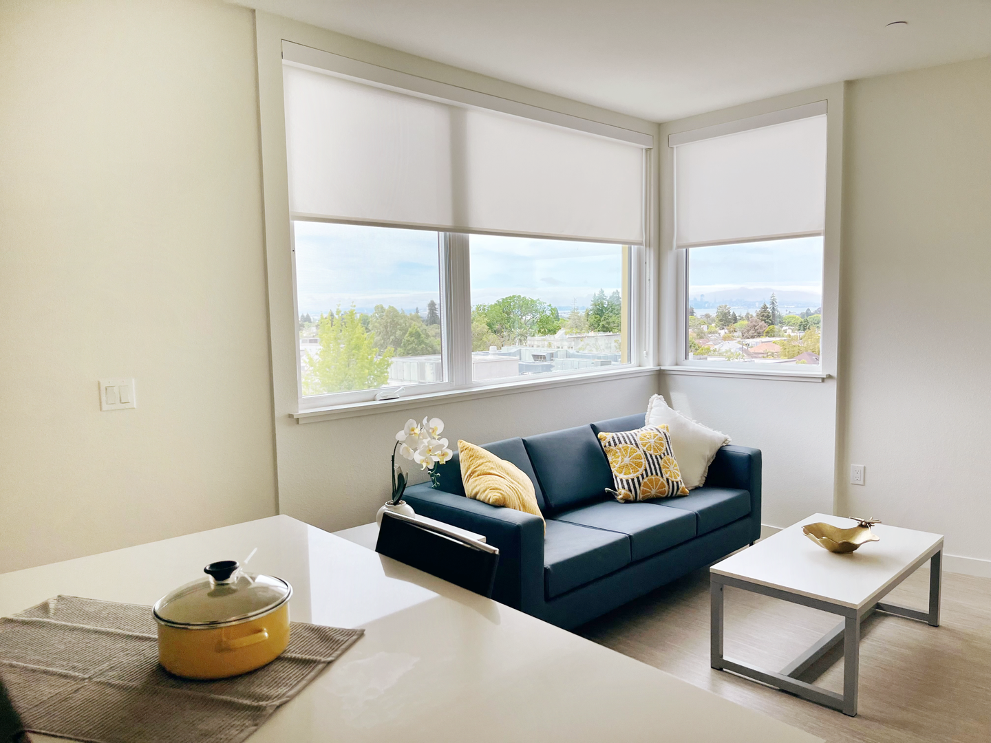 Berkeley Apartment: 2099 Martin Luther King Jr. Way