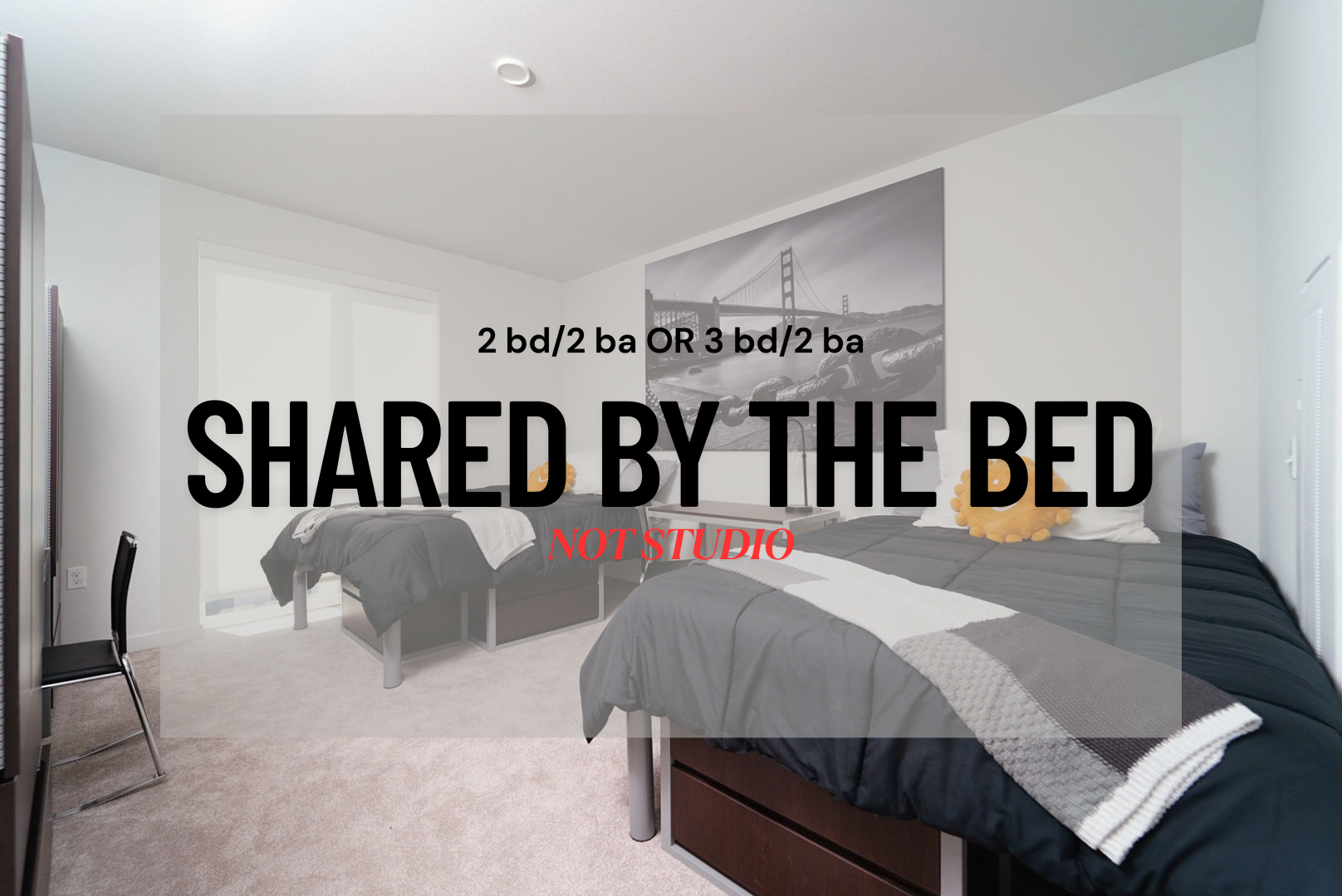 Berkeley Apartment: 2077 Haste St
