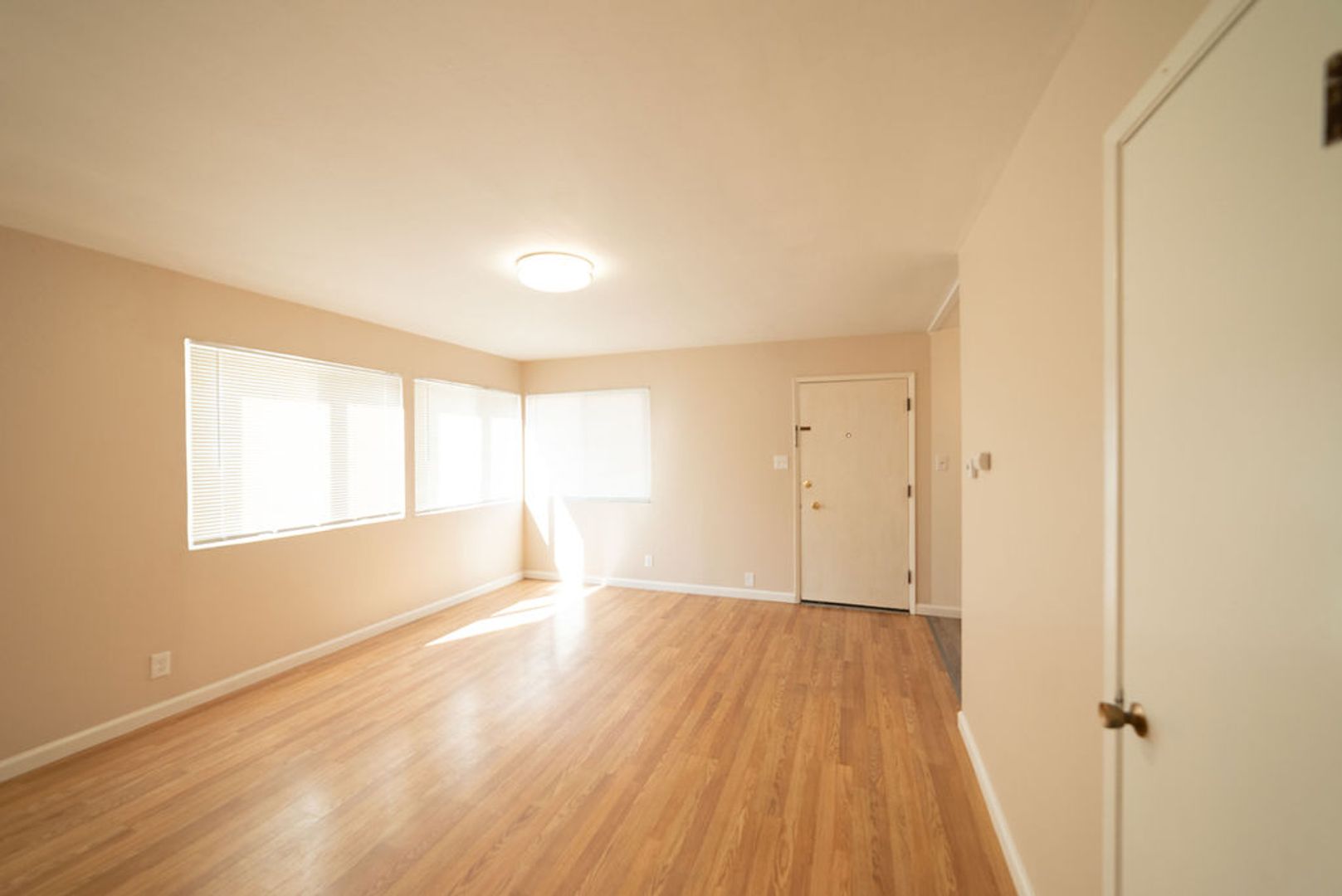 Berkeley Apartment: 1301 Hearst Avenue