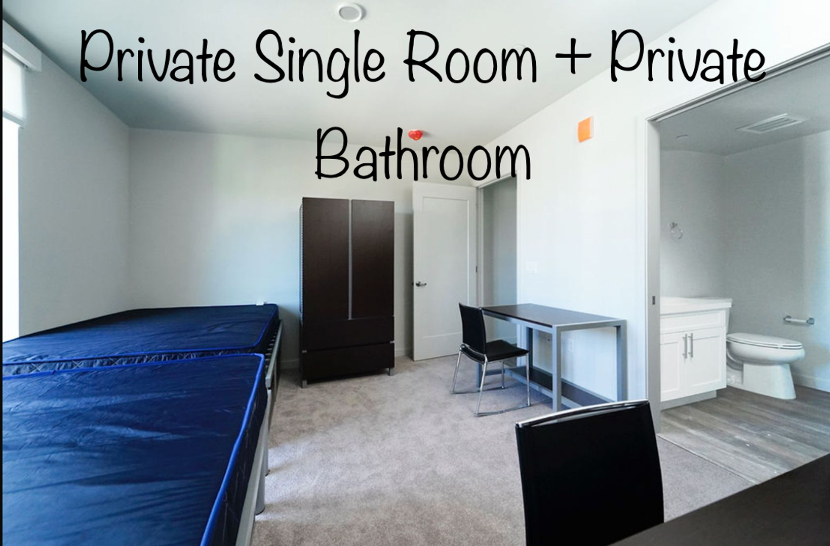 Berkeley Apartment: 2077 Haste St