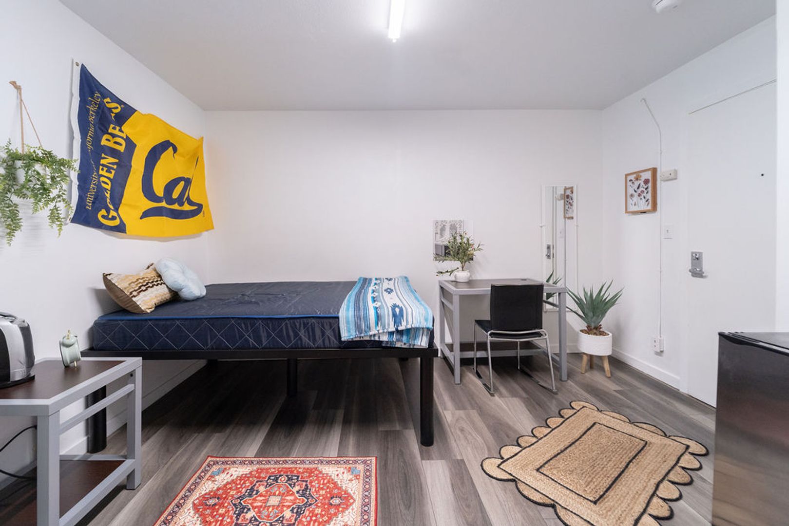 Berkeley Apartment: 2490 Channing Way