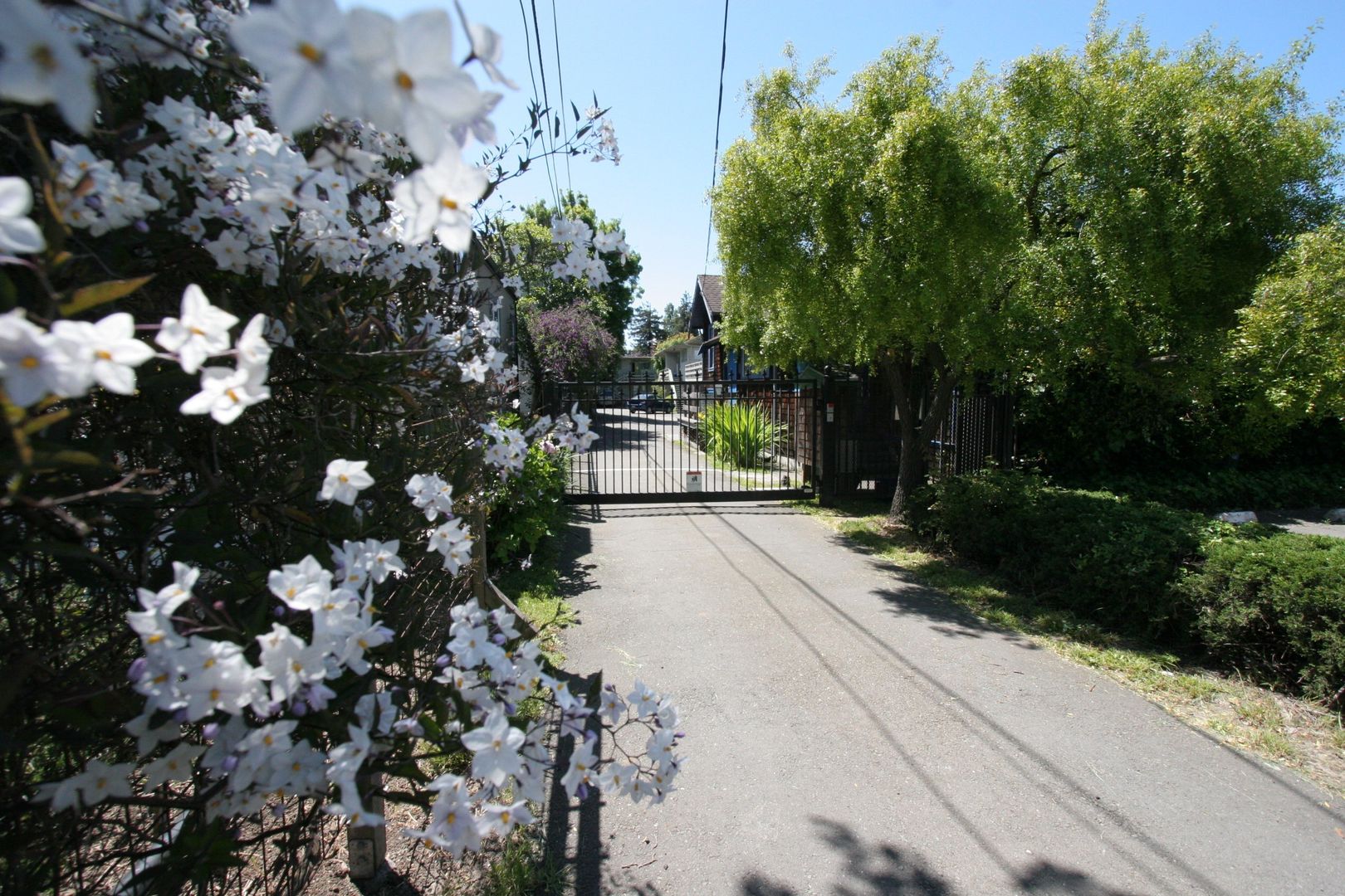 Berkeley Apartment: 1228 Delaware Unit A