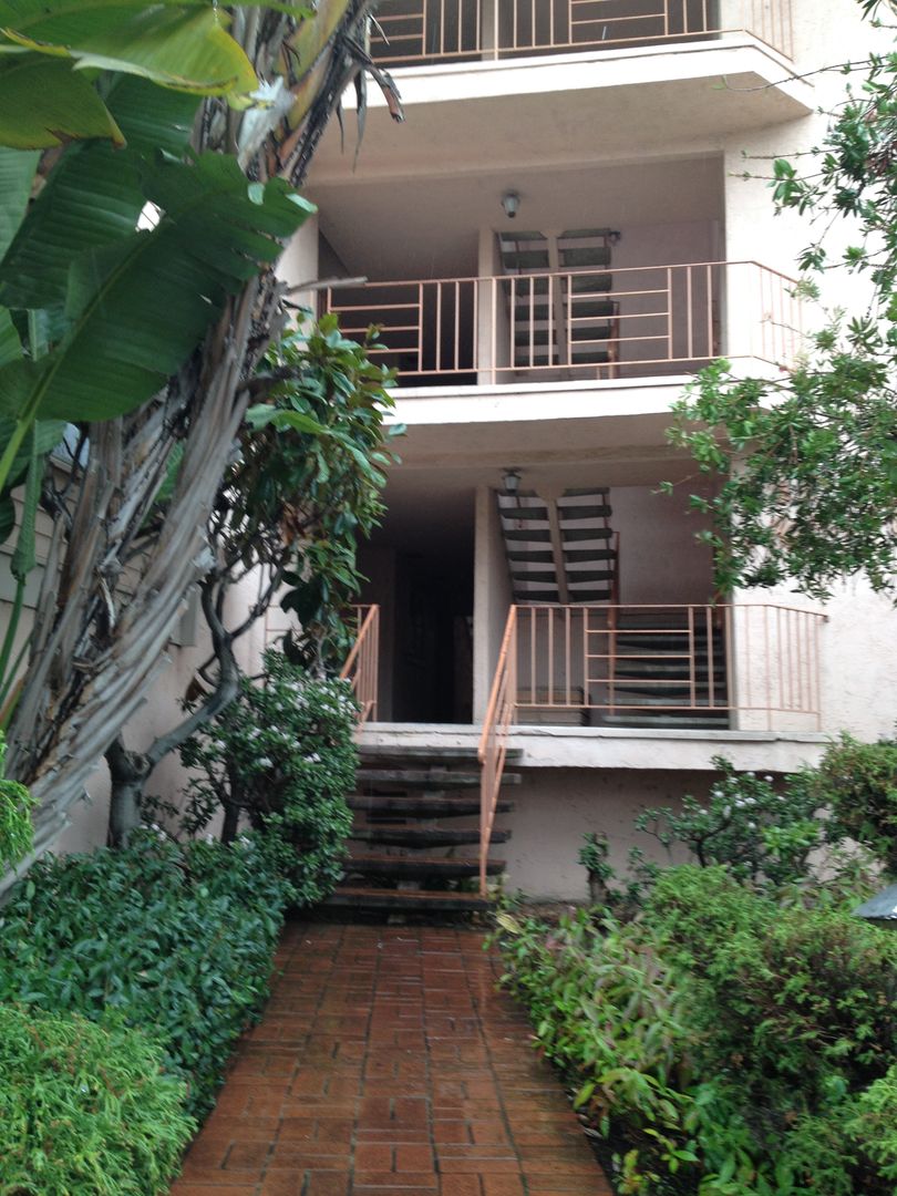 Oakland Apartment: 252 Acton Place