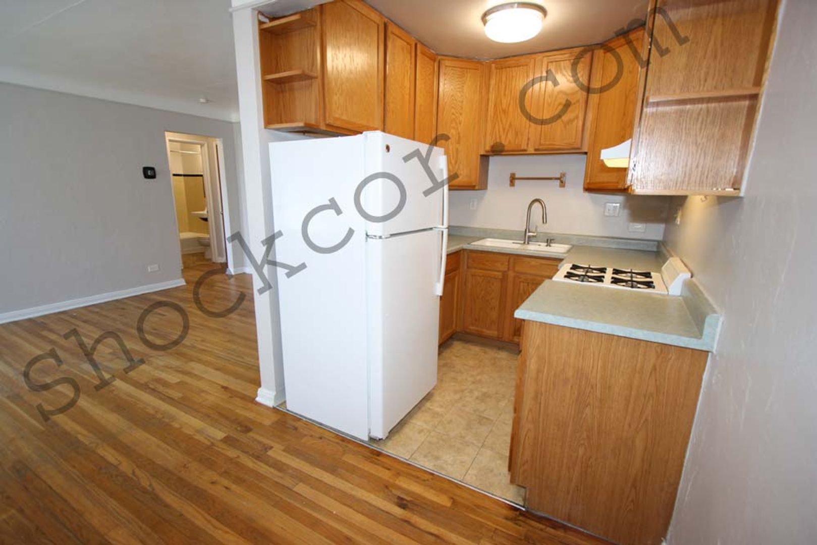Denver Apartment: 1531 Leyden Street
