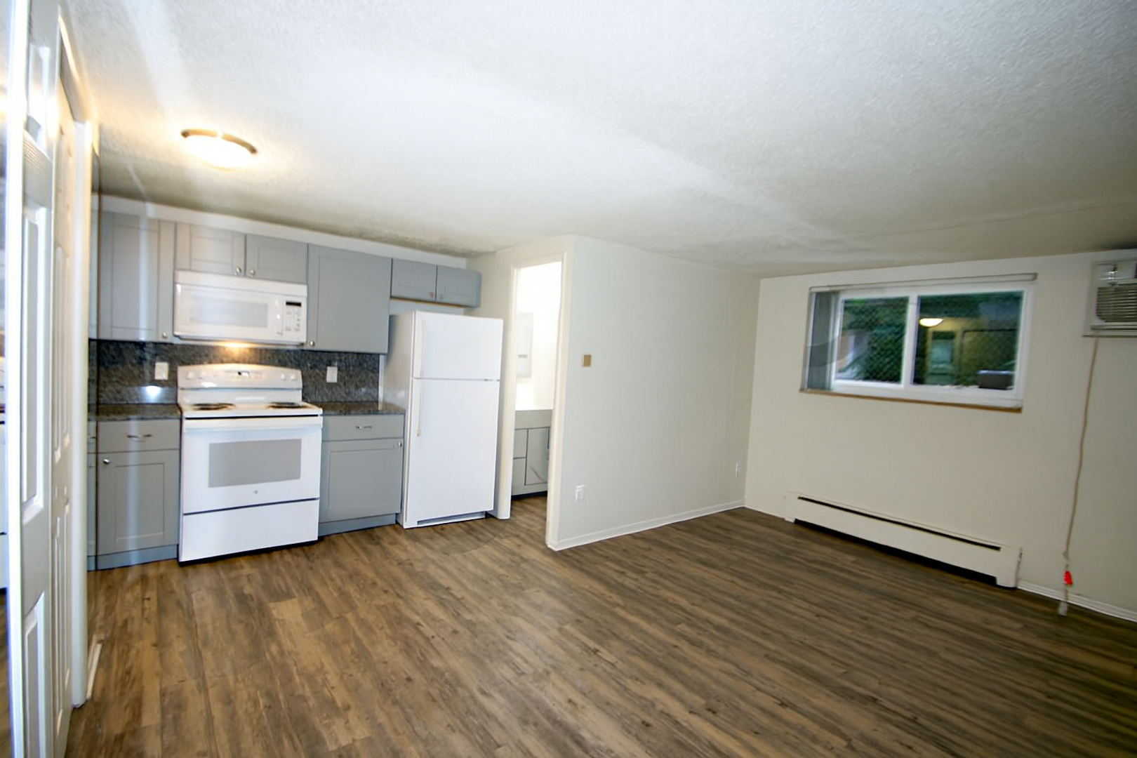 Denver Apartment: 1315 Corona Street