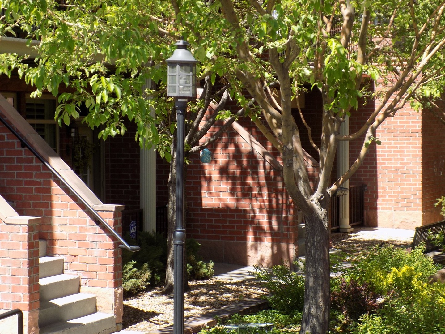 Denver Apartment: 2580 17th Street #103