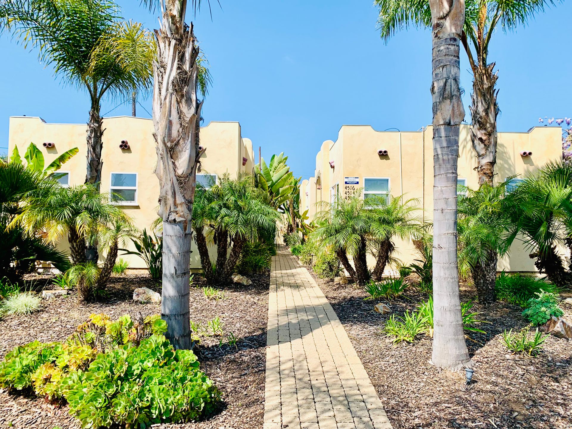 San Diego Apartment: 4514 1/2 Idaho St.